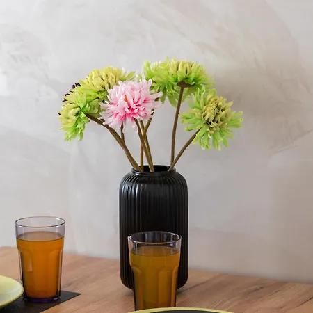 Sloneczny I Przestronny W Sercu Szczecina By Renters Apartment *