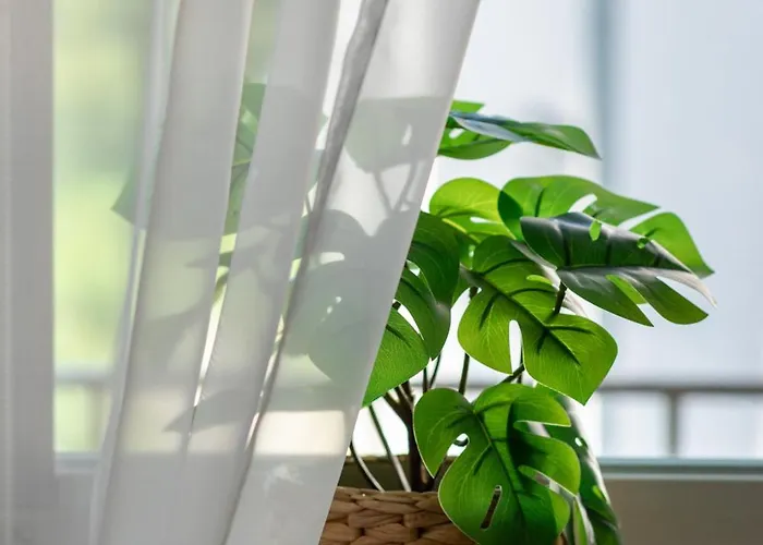 Sloneczny I Przestronny W Sercu Szczecina By Renters シュチェチン